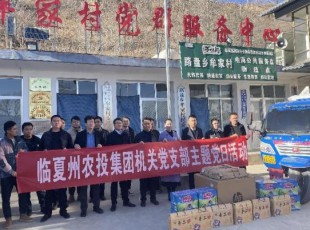 临夏州农投公司在帮扶村开展慰问捐赠 主题党日运动