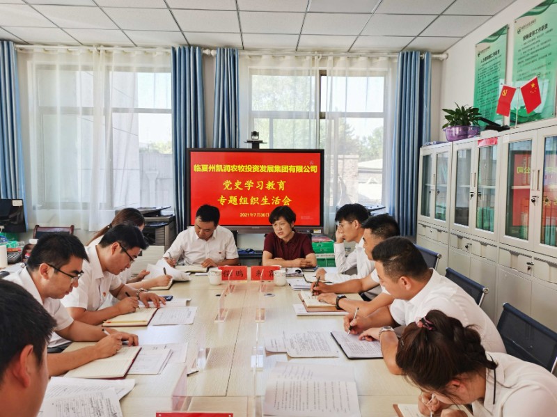 党史学习组织生活会.jpg