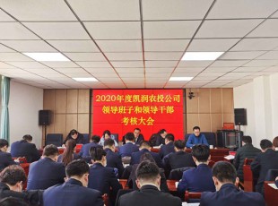 彩神v8官网版 召开2020年度领导班子和领导干部考核大会